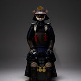 [Y-009] Iron Rust Area Sanada Yukimura