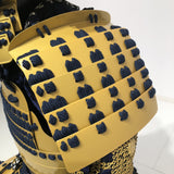 [C-035] Tokugawa Ieyasu gold painting children's armor (Special painting for children)