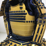 [C-035] Tokugawa Ieyasu gold painting children's armor (Special painting for children)
