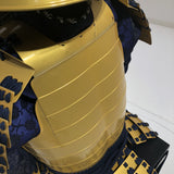 [C-035] Tokugawa Ieyasu gold painting children's armor (Special painting for children)