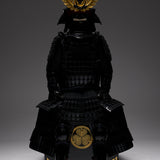 [Y-028] Ieyasu Tokugawa, Daikoku Hood (large