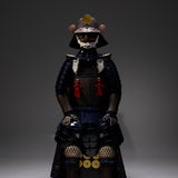 [Y-009] Iron Rust Area Sanada Yukimura