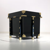 [A-001] Armor box (adult / six legs)