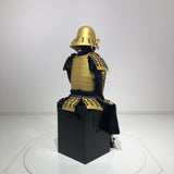 [C-035] Tokugawa Ieyasu gold painting children's armor (Special painting for children)